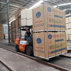 Encofrado de Contrachapado Moderno Ecológico de Abedul Verde Pulido con Formaldehído E2 para Construcción de Hormigón - Product Image 6