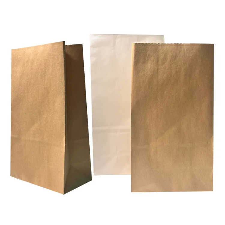 Saco de papel marrom biodegradável folha gramado grama saco de papel de jardim sacos de lixo barato venda quente papel kraft personalizado de alta qualidade B #