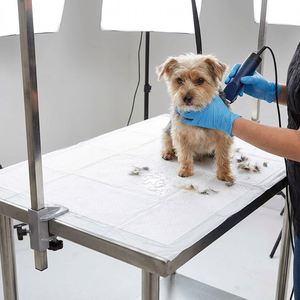 Tapis d'apprentissage pour animaux de compagnie antibactériens et anti-odeurs, tapis de propreté pour chiens au charbon de bois, super absorbants, jetables, pour chiots, vente en gros - Product Image 3