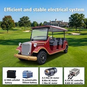 Navette électrique à batterie au lithium Tarion, petite voiture de tourisme, véhicule électrique classique pour la réception d'hôtel - Product Image 3