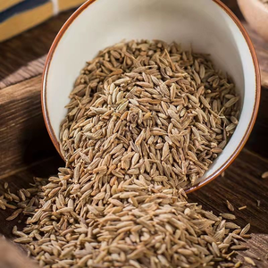 Cumin Séché Nouvelle Récolte en Gros à Prix Usine – Herbes et Épices Brutes, Graines de Cumin - Product Image 5