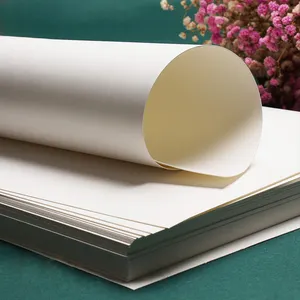 A3 Kích Thước Cao Cấp Rắn Giấy Các Tông 180G 250G 300G 350G 400G Hà Lan Thẻ Trắng Giấy - Product Image 4