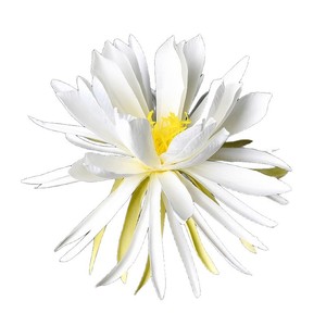 Flor Artificial de Epiphyllum Verde, Tallo Único Rosa, Decoración Realista para el Hogar, Manualidades con Linternas Navideñas, Arte Floral - Product Image 5