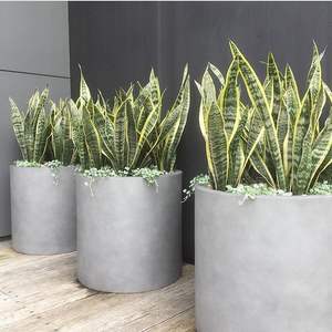 Pots de fleurs en fibre de verre personnalisés, jardinières d'intérieur et d'extérieur, pot de fleurs <span class=keywords><strong>XXL</strong></span> pour extérieur - Product Image 6