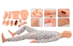 Mô hình người giả lập nam H135 có thể tháo rời, toàn thân, dùng cho huấn luyện khoa học y tế, chất liệu nhựa, dùng trong chăm sóc y tế - Product Image 2