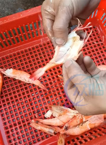 เครื่องตัดกุ้งซูชิสำหรับอาหารทะเลและเครื่องตัดท้องกุ้ง 0.4 กิโลวัตต์ เครื่องตัดหลังกุ้ง 50-70 ชิ้น/นาที เครื่องตัดซูชิ <span class=keywords><strong>EBI</strong></span> - Product Image 3