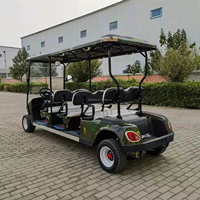 Voiturette de golf électrique personnalisée à 4 roues, élégante et amusante, véhicule de transport touristique pour la plage, les stations balnéaires et les parcs de loisirs