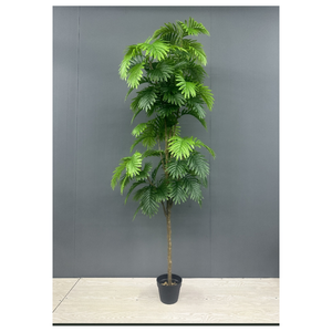 C811 Plante Artificielle Mini Palmier et Plastique Voyageur Basho Fan Plantes Bonsaï pour Décoration Intérieure - Product Image 1