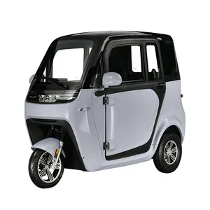 2024 Hot Sale New Cheap Fully Enclosed Large Space Adult Electric Tricycles