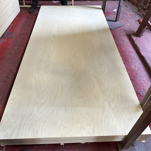 Madera contrachapada de abedul 12mm 17mm 18mm 25mm película enfrentada <span class=keywords><strong>precio</strong></span> ruso preacabado 3mm hoja de madera contrachapada de abedul báltico 3/4 - Product Image 1