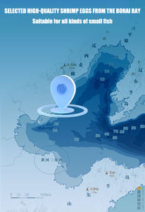 أكياس أرتيميا مجنفة القشرة خالية من محلول ملحي بيض الجمبري أسماك استوائية الغذاء - Product Image 4
