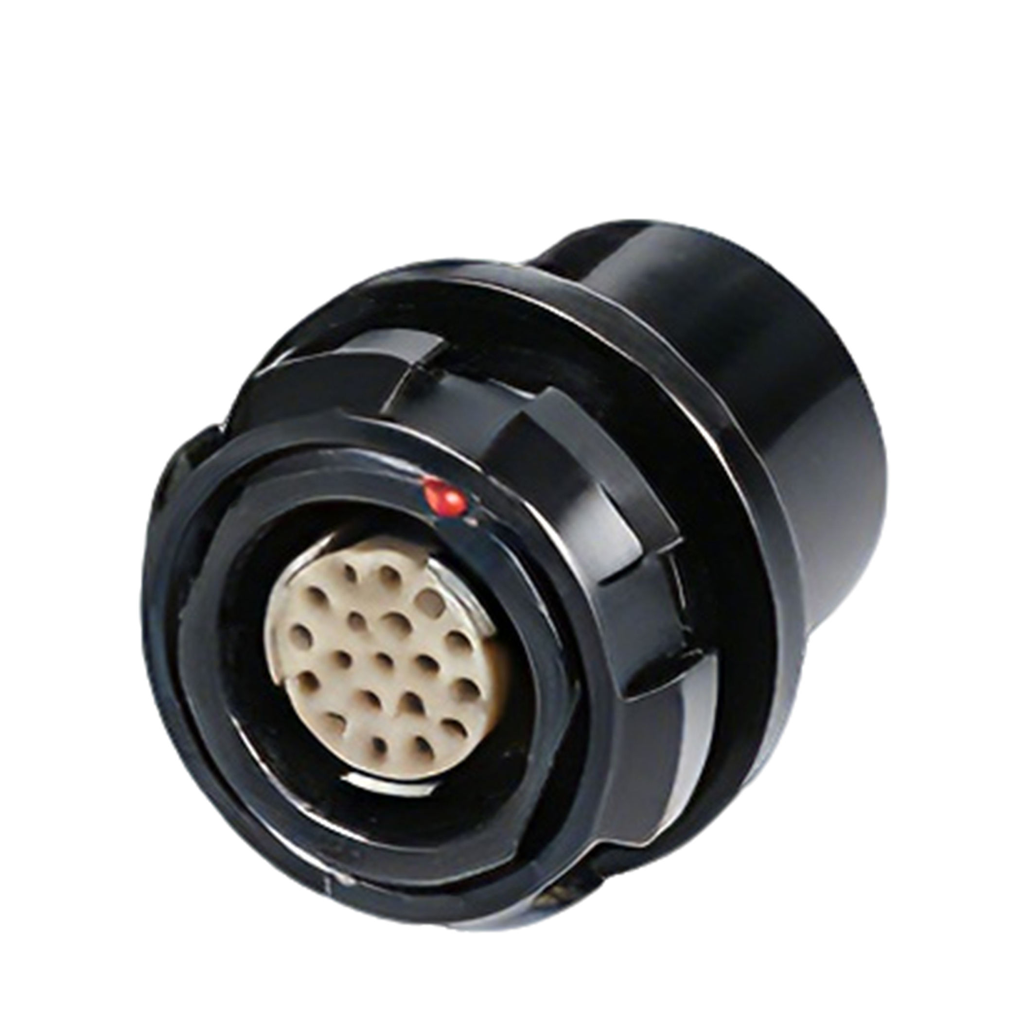 1F 7 พิน ตัวเมีย