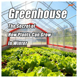 <span class=keywords><strong>Abri</strong></span> <span class=keywords><strong>de</strong></span> stationnement pour voiture JCHW 2026, double structure, rangement amélioré, <span class=keywords><strong>abri</strong></span> industriel imperméable, tente <span class=keywords><strong>de</strong></span> garage, 9 m <span class=keywords><strong>de</strong></span> large - Product Image 3