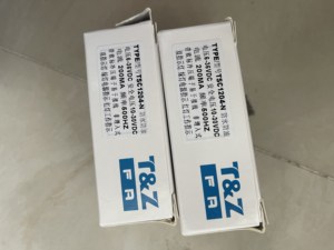 ตัวบ่งชี้แรงดันไฟฟ้า T&Z รุ่น TSC1204-N - Product Image 1