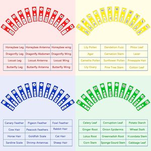 Lames préparées colorées de <span class=keywords><strong>niveau</strong></span> de base en plastique pour l'apprentissage des étudiants, quatre lames différentes pour l'enseignement de la structure cellulaire colorée - Product Image 5
