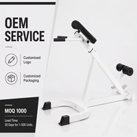 Chaise Romaine Pliable et Réglable pour Entraînement Musculaire Abdominal et Dorsal, Banc d'Hyperextension Sûr pour Salle de Sport Commerciale – Vente en Gros