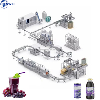 Ligne complète automatique de remplissage de jus de raisin en bouteille