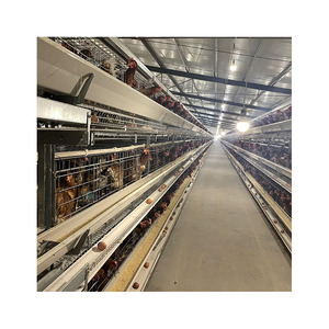 Meilleur <span class=keywords><strong>prix</strong></span> automatique couche d'oeufs poulet ferme poules pondeuses volaille batterie Cages à <span class=keywords><strong>vendre</strong></span>. - Product Image 6