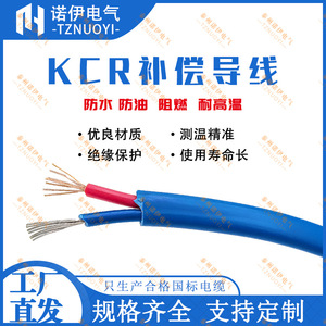 Sonde de température Tznuoyi Kcr à fil compensateur, gaine bleue, cuivre, Constantan, isolation PVC - Product Image 5