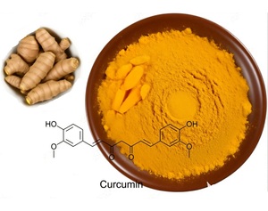 Tinh khiết Hữu Cơ Curcuma longa <span class=keywords><strong>Curcumin</strong></span> <span class=keywords><strong>95</strong></span>% nghệ chiết xuất từ rễ bột bao bì 1kg giá bán BỘT NGHỆ - Product Image 5