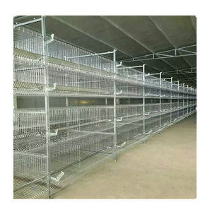 Tedarik sıcak satış ucuz horoz Broiler - Product Image 1