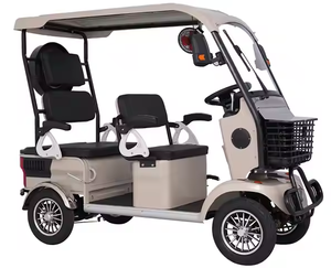 Holladay Ebike Quadricycle Urbain à 4 Roues avec Toit Amortisseur, Mini Scooter, Voiturette de Golf pour Adultes, Ebike 4 Roues - Product Image 4