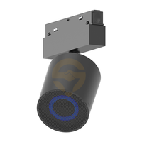 Sistem Lampu Rel Magnetik 20mm dengan Speaker Bluetooth, Konektivitas Nirkabel, Speaker Lampu Rel DC48V, Audio Rel Rumah Pintar