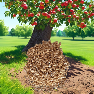 Canxi cao và Phân bón hòa tan trong nước đa vi lượng kết hợp khoa học canxi, magiê và các nguyên tố vi lượng - Product Image 3