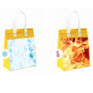 Bolsa Térmica Desechable de Material No Tejido, Económica, con Diseño de Letras, Capacidad de 2L, Plegable e Impermeable, Promoción de Fábrica China 2022 - Product Image 4