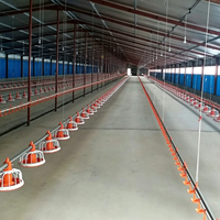 Équipement d'élevage au sol pour volailles de chair, mangeoire et abreuvoir automatiques pour poulets à vendre
