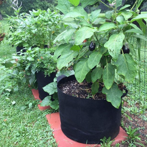 Fleur et plante pot en tissu de 3 gallons sac de plantation géotextile non tissé aquaculture hydraulique pépinière plantation de tomates géotextile - Product Image 6