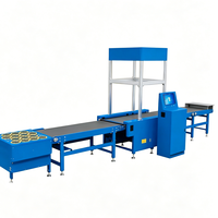 Système DWS dynamique pour colis, machine de dimensionnement, pesage et numérisation 3D jusqu'à 60 kg pour entrepôt logistique express