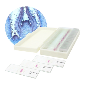 Punta del gambo lilla L.<span class=keywords><strong>S</strong></span>. Vetrini per microscopio con taglio a strappo vetrini per microscopio da laboratorio attrezzature didattiche da laboratorio - Product Image 1