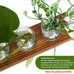 Terrarium en verre à double couche avec support en bois pour la propagation des plantes murales, 8 tubes à essai, vase pour la maison et le bureau - Product Image 6