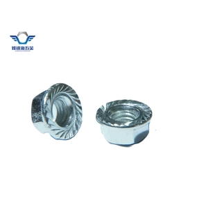 Bán nóng mạ kẽm thép carbon Hex mặt bích Nut chèn cánh hàn đen răng cưa Nylon mặt bích khóa hạt cho khai thác mỏ - Product Image 1