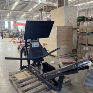 Dleap tập thể dục điện x cybex tấm nạp máy tốt nhất vòng bi im lặng tuyến tính đứng hack ngồi xổm - Product Image 5