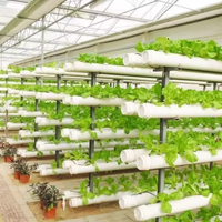 Spécifications des matériaux disponibles Système de culture hydroponique Ferme NFT Système hydroponique pour la sélection