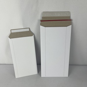 <span class=keywords><strong>Enveloppe</strong></span> rigide avec logo personnalisé imprimé, <span class=keywords><strong>dos</strong></span> en carton rigide, sac d'expédition rigide, <span class=keywords><strong>enveloppe</strong></span> en carton kraft blanc - Product Image 2