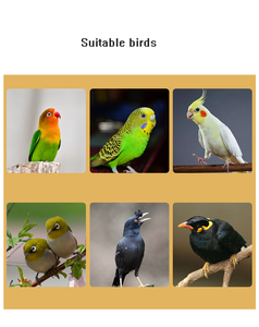 2025 phong cách mới được thực hiện tại Trung Quốc lớn cổ điển kim loại cầm tay với dây thép khung nút đóng cửa Thiết kế thoáng khí Vẹt lồng - Product Image 6