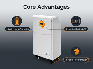 15KWh 51.2V 300Ah LiFePO4 <b>Battery</b> Built-in Smart BMS RS485 CAN Energy Storage <b>Battery</b> for Home Solar RV Off Grid Backup Power - Product Image 3