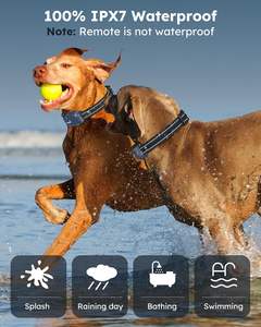 Kalung Latih Anjing Super OEM/ODM untuk <span class=keywords><strong>2</strong></span> Anjing, Remote, Bunyi, Getar, Pelatihan Perilaku, Anti Gonggong, Dapat Diisi Ulang, Tahan Air - Product Image 5