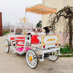 Chariot de princesse Cendrillon style citrouille, transport spécial pour mariages - Product Image 3