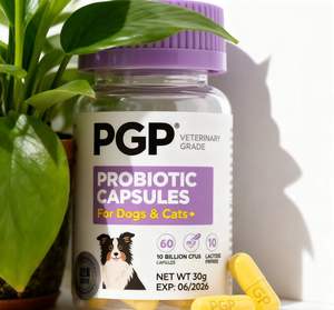 Capsule Probiotiche PGP Best-seller per Cani e Gatti, Supporto alla Valina, Salute Digestiva, Supporto Immunitario, Riduzione del Gonfiore per Animali Sensibili - Product Image 3