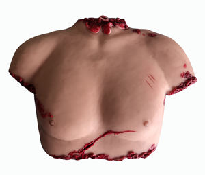 Modelo de Disección Forense de Tórax y Abdomen, para Educación Médica Legal y Ambiental, de Silicona Suave, Tamaño Real, Detallado, DR - Product Image 3
