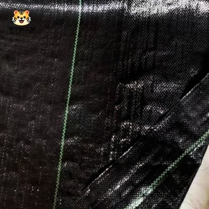 Oferta Especial: Malla Antihierbas de Plástico PP/PE para Control de Malezas, Tela para Paisajismo para Granjas y Huertos, Precio de Fábrica - Product Image 3