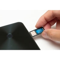 Carte mémoire Micro TF UHS-I U3 V30 A2 160 Mo/s EXCERIA G3 256 Go LMEX3L256GG4 pour drone, caméra, smartphone