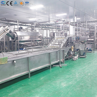 Ligne de production de jus de fruits automatique clé en main 1000 bph