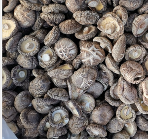 Xiang gu Trung Quốc Tính năng <span class=keywords><strong>Shiitake</strong></span> Hoa NấM khô nguyên liệu tự nhiên cao cấp trồng trọt khô toàn Bộ ăn được nấm <span class=keywords><strong>Shiitake</strong></span> - Product Image 5