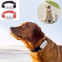Traceur GPS en temps réel TK909 TKSTAR pour chien, dispositif anti-perte avec collier pour animal de compagnie, réseau 2G GSM/GPRS, application PC/iOS/Android pour visualisation des trajets