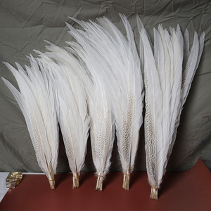 Vente en gros de plumes de faisan argenté de 15 à 80 cm, plumes de faisan blanc pour costumes de <span class=keywords><strong>carnaval</strong></span>, décoration de performance de samba - Product Image 2